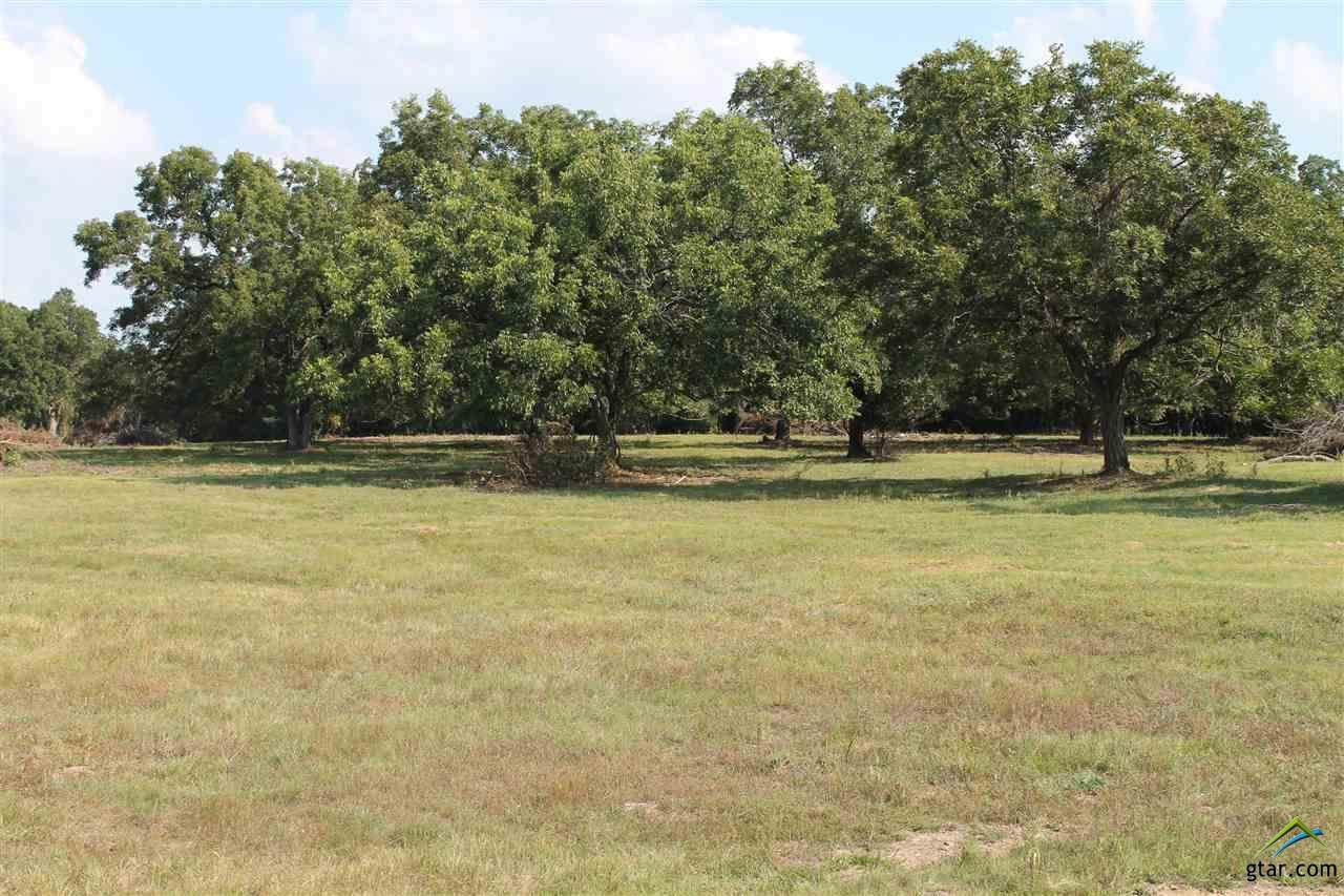 TBD Vz County Road 4607 - Photo 1