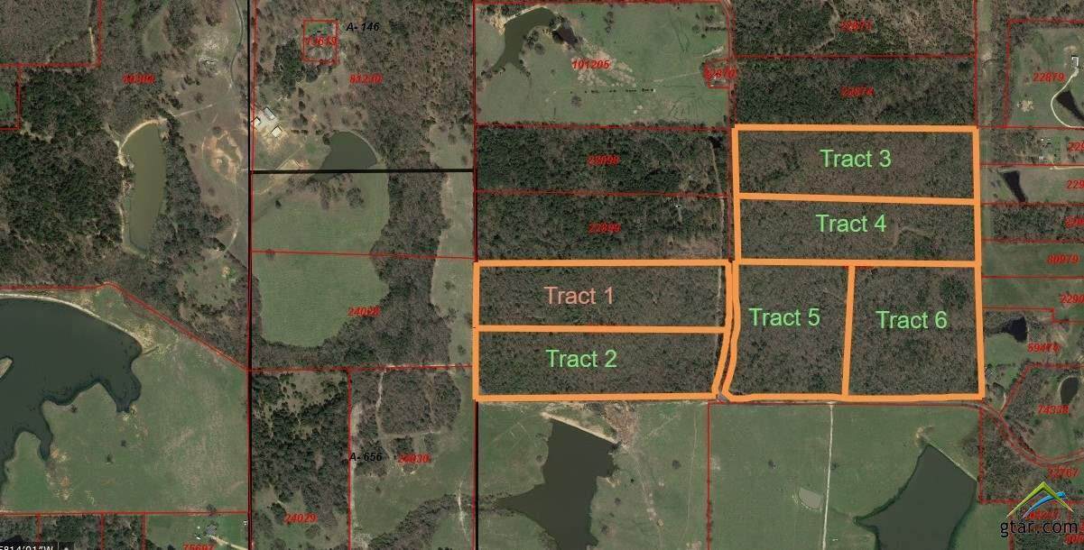 Tract 3 Cr 4420 - Photo 1