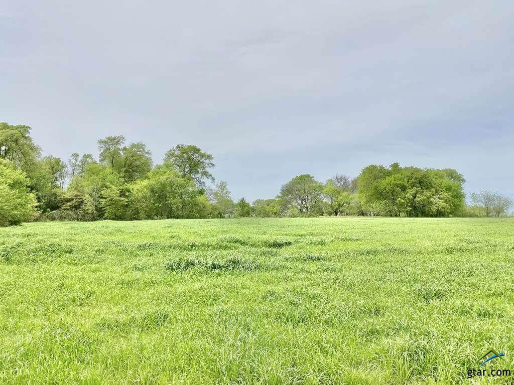 TBD Farm Road 69 - Photo 1