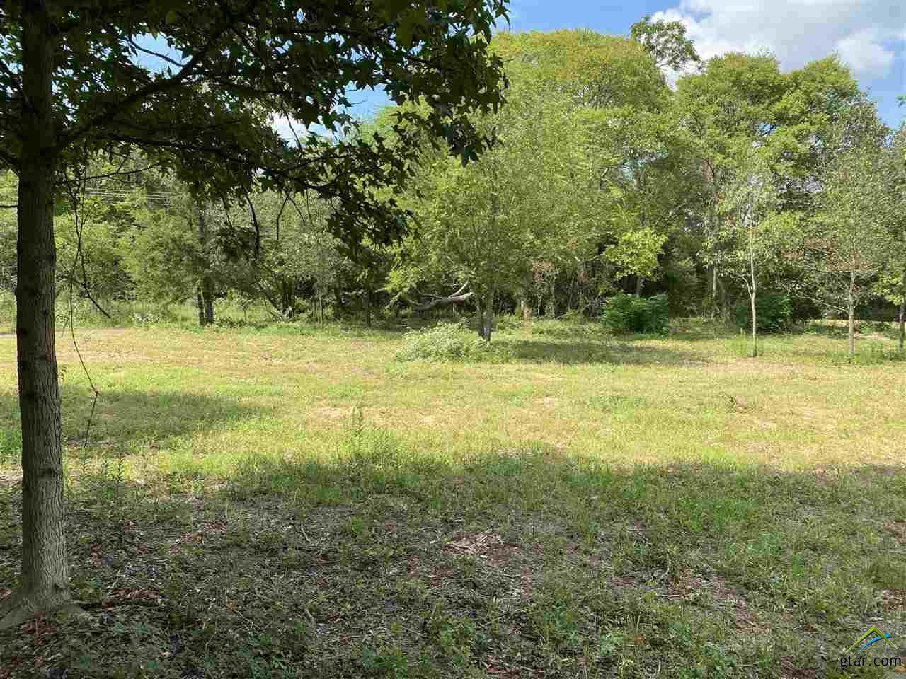 TBD County Road 2212 - Photo 1