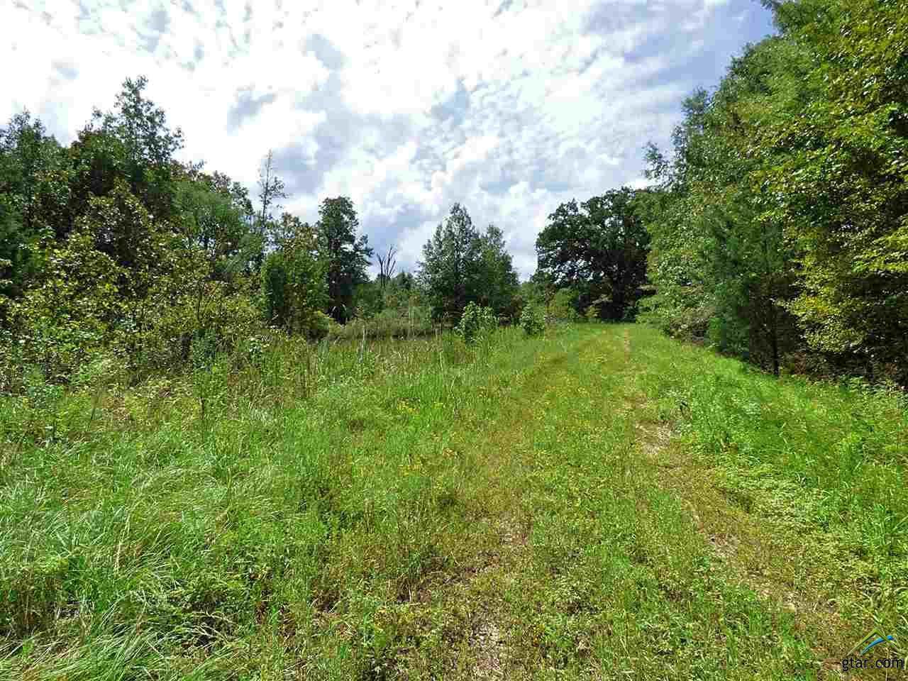 00 County Road 1915 - Photo 1