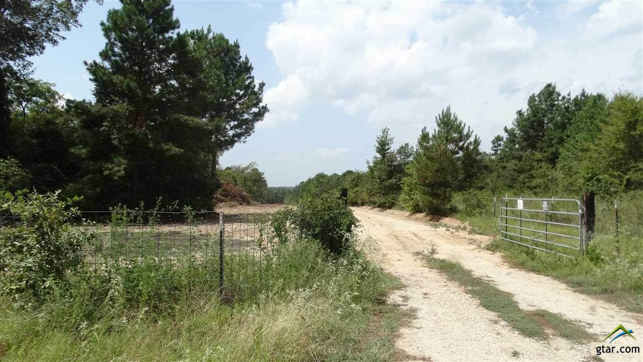 2601 Fm 346 - Photo 1