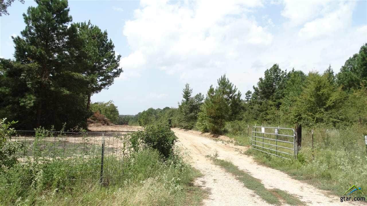 2609 Fm 346 - Photo 1