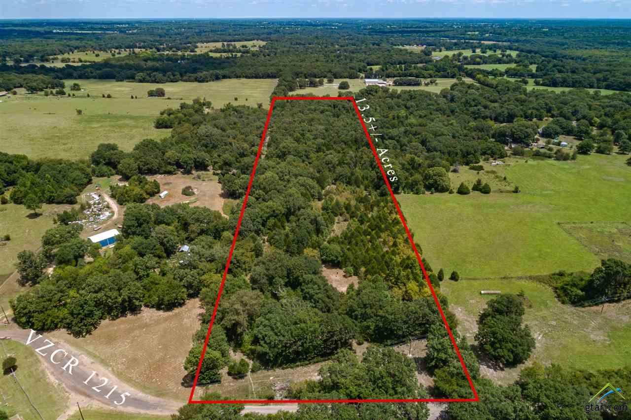 TBD Vz County Road 1215 - Photo 1