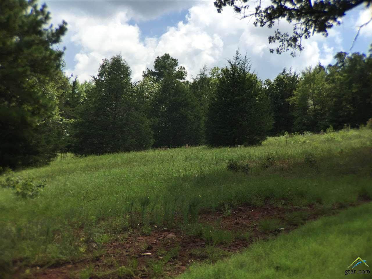 347 Hines Crossing - Photo 1