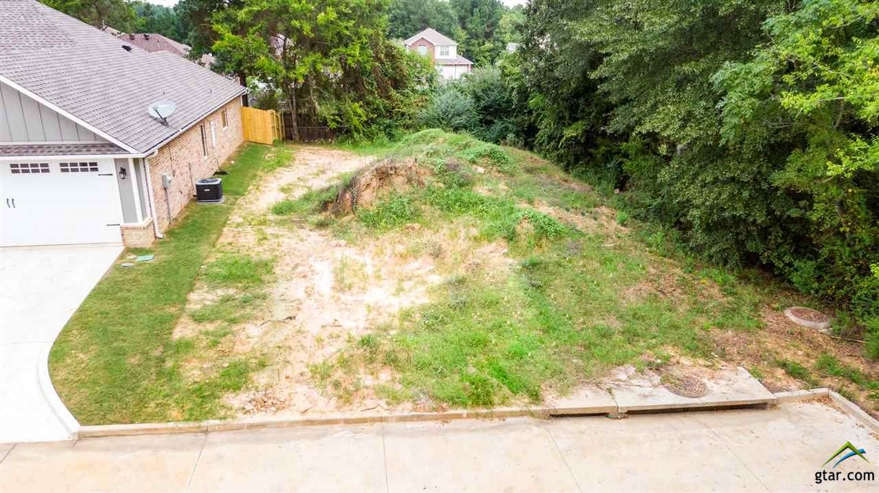 113 Letterman Lane - Photo 1
