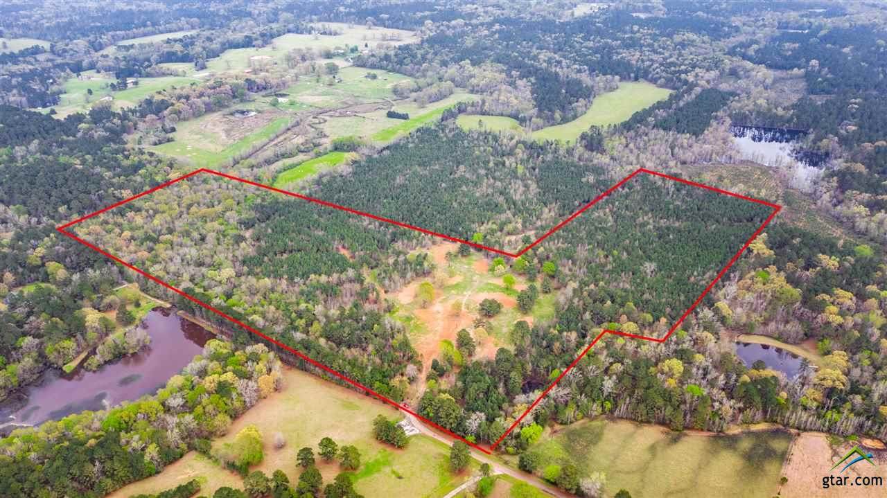 630 Collins Creek Rd. - Photo 1