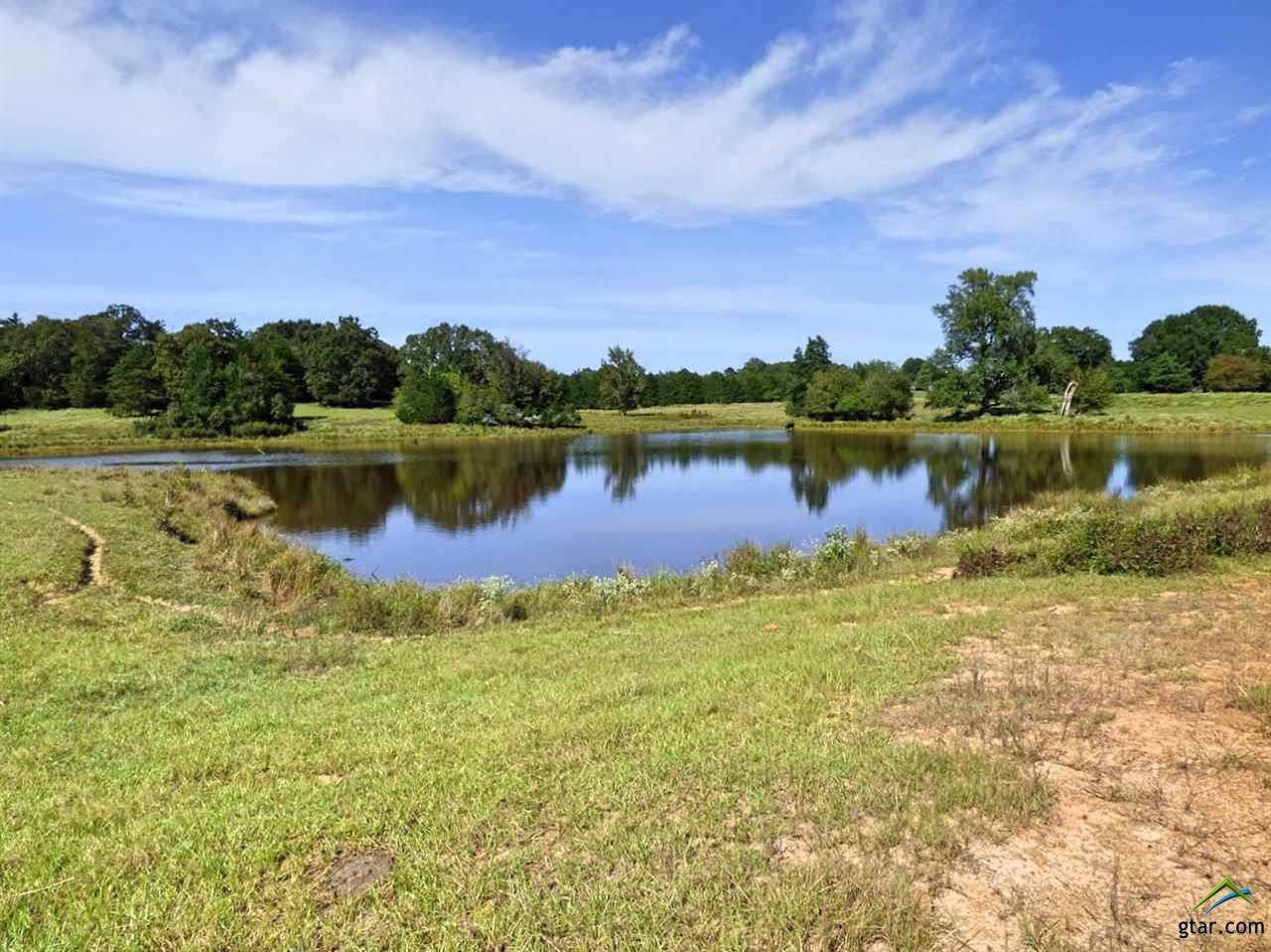 Tract A CR 3317 Concord Road - Photo 1