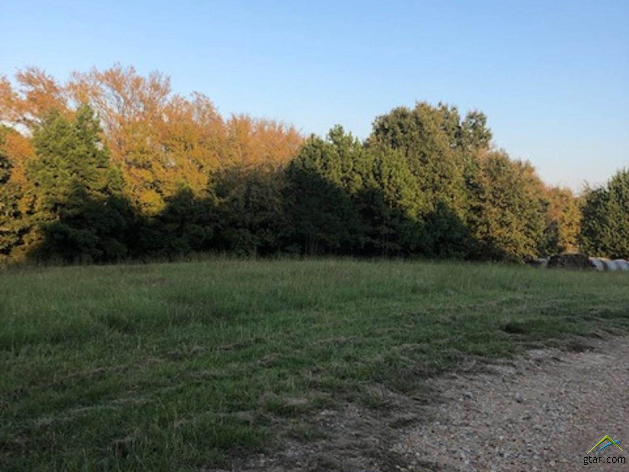 TBD 3 Acres Cr 463 - Photo 1