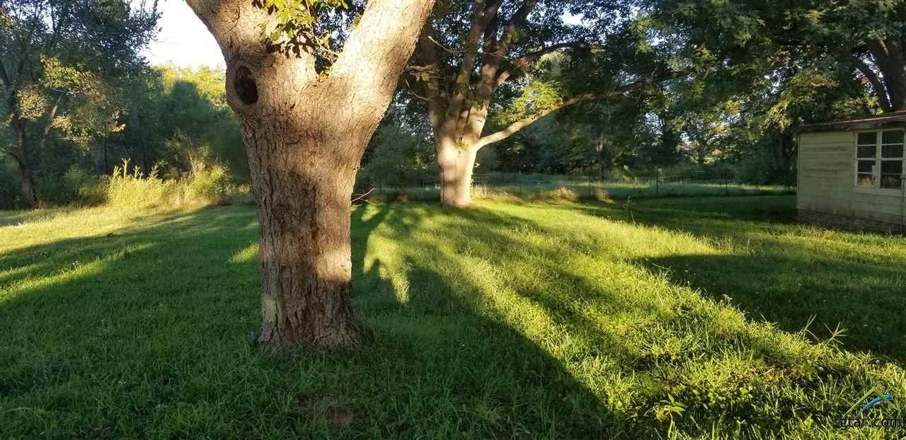 739 Fm 344 W - Photo 1