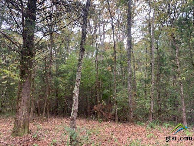 TBD Cr 2123 - Photo 1