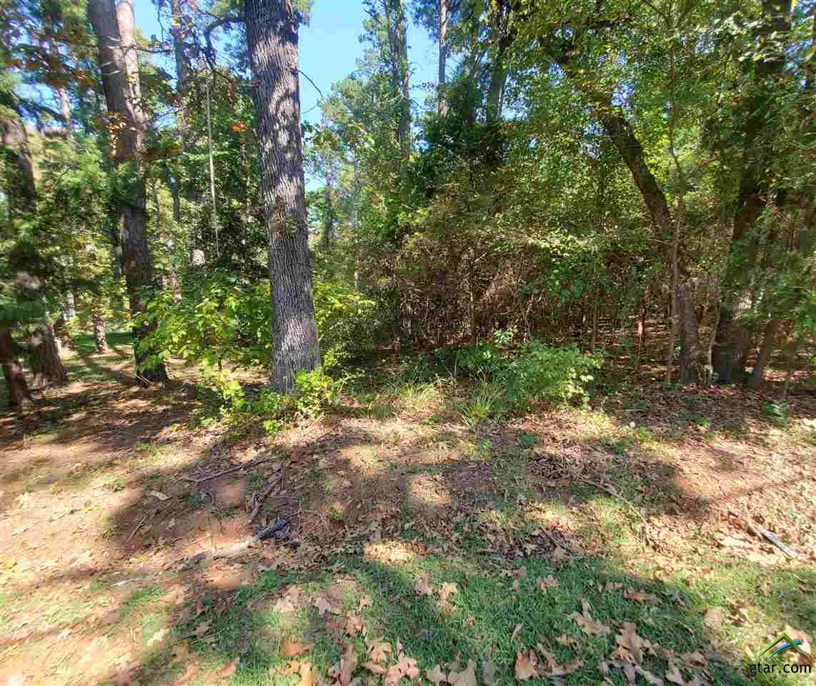 TBD Lakeview Dr - Photo 1