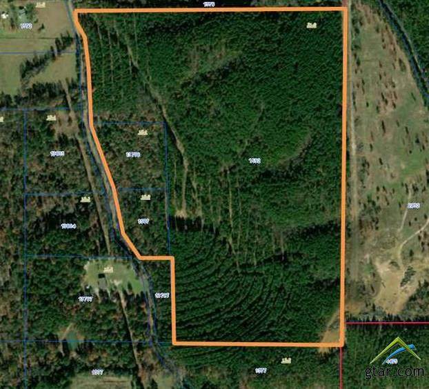 TBD CR 1113 White Rd - Photo 1