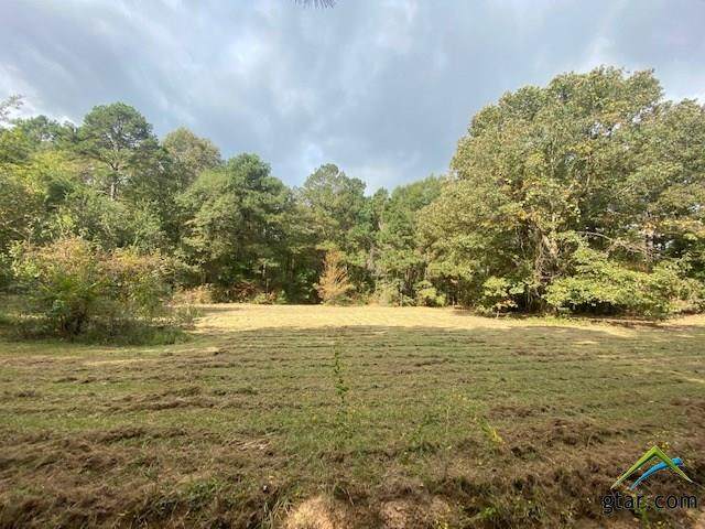 608 Harborth Ln - Photo 1