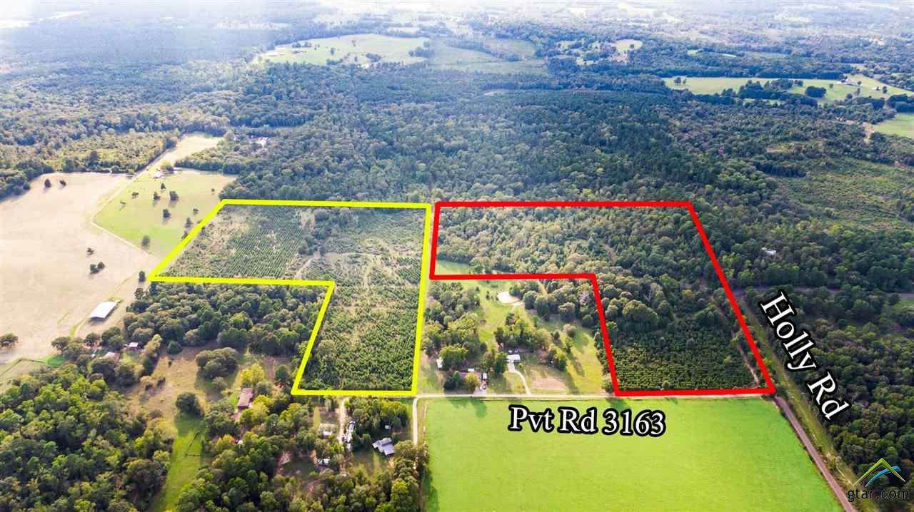 TBD Holly Rd. - Photo 1