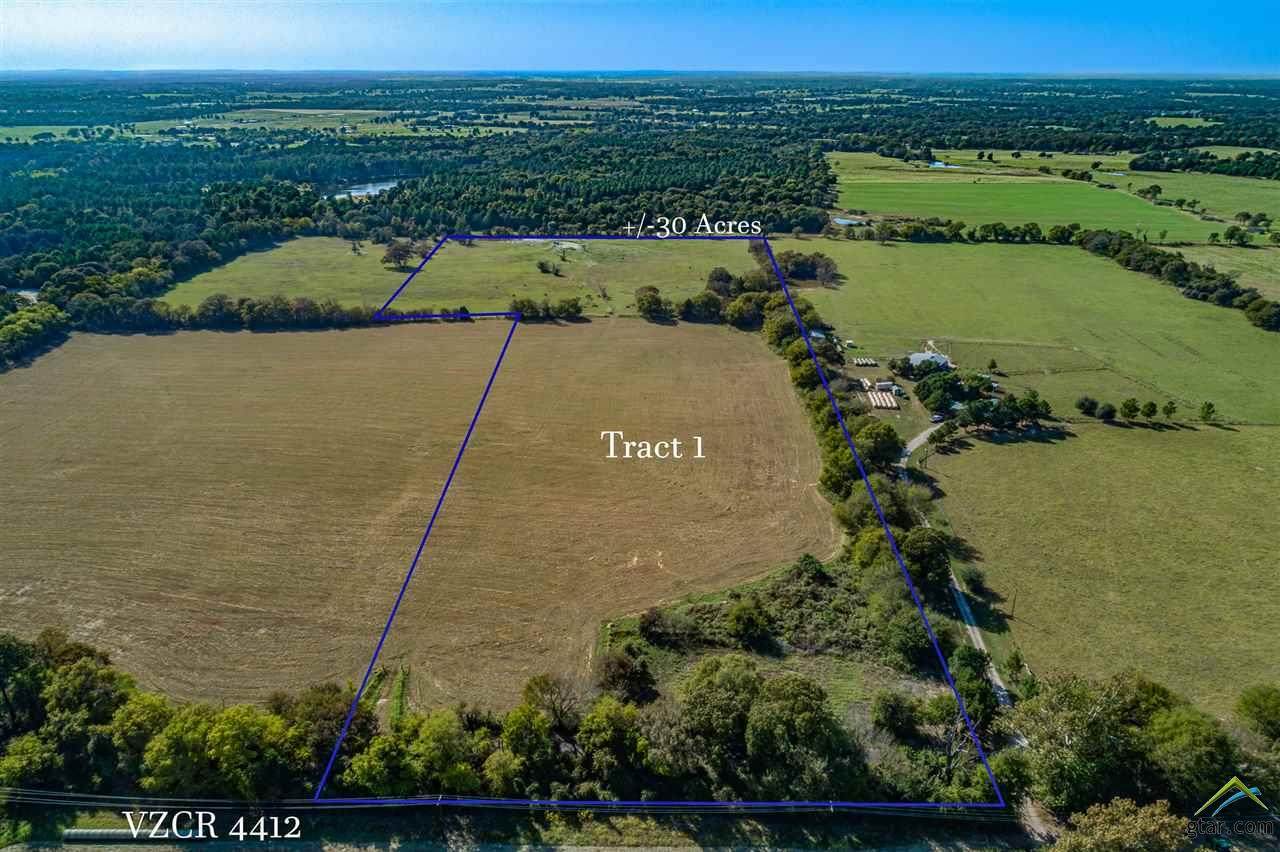 Tract 1 County Road 4412 - Photo 1