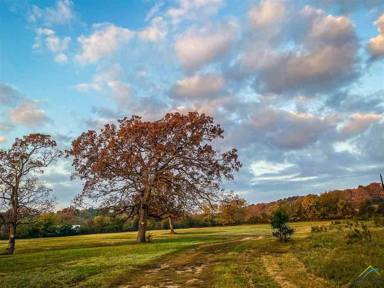 17306 Pr 7407 - Photo 1