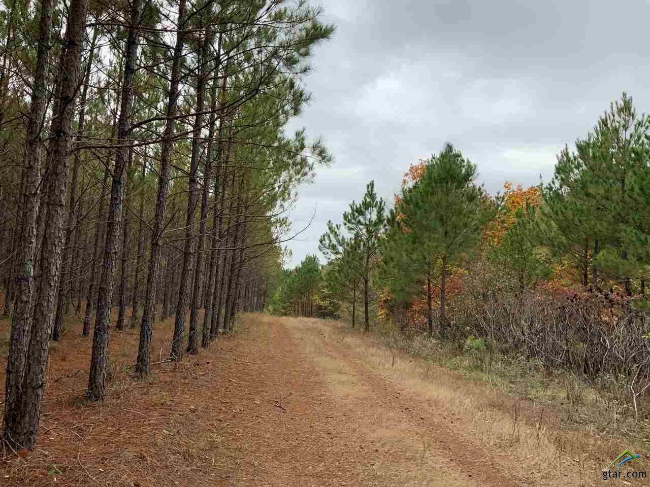 2333 County Road 2303 - Photo 1