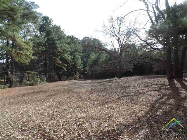 414 Hwy 204 - Photo 1