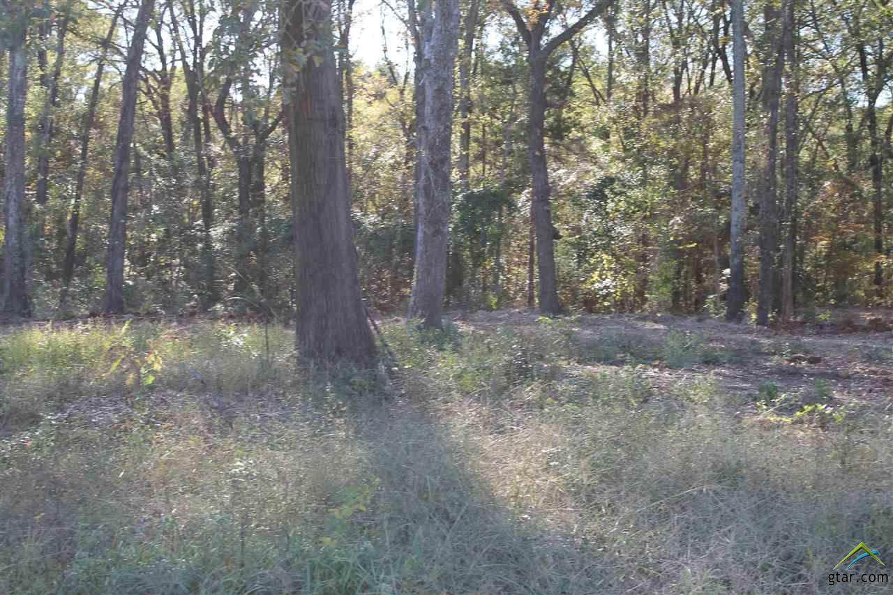 Lot 3 Block 1 Tbd Gatlinburg Rd - Photo 1