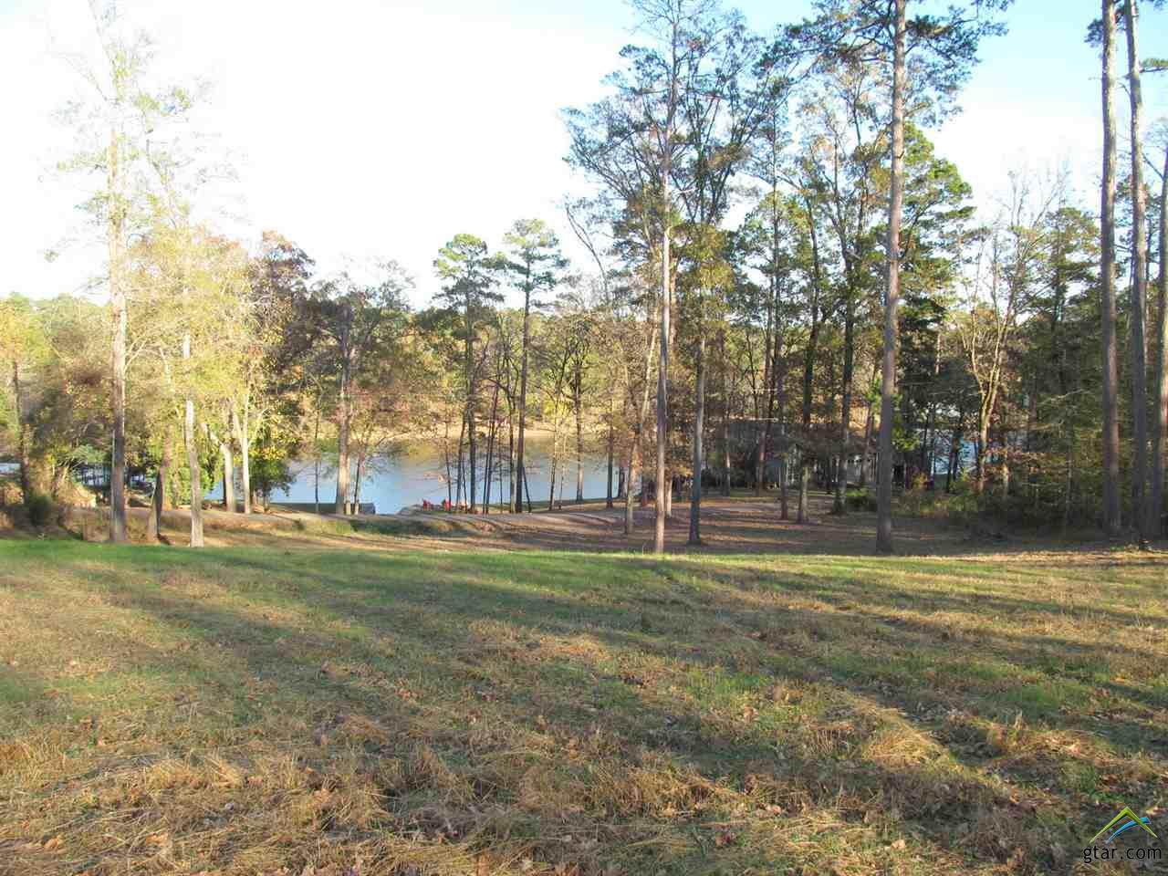 AB 306 J MAX Hickory Hill Ln - Photo 1