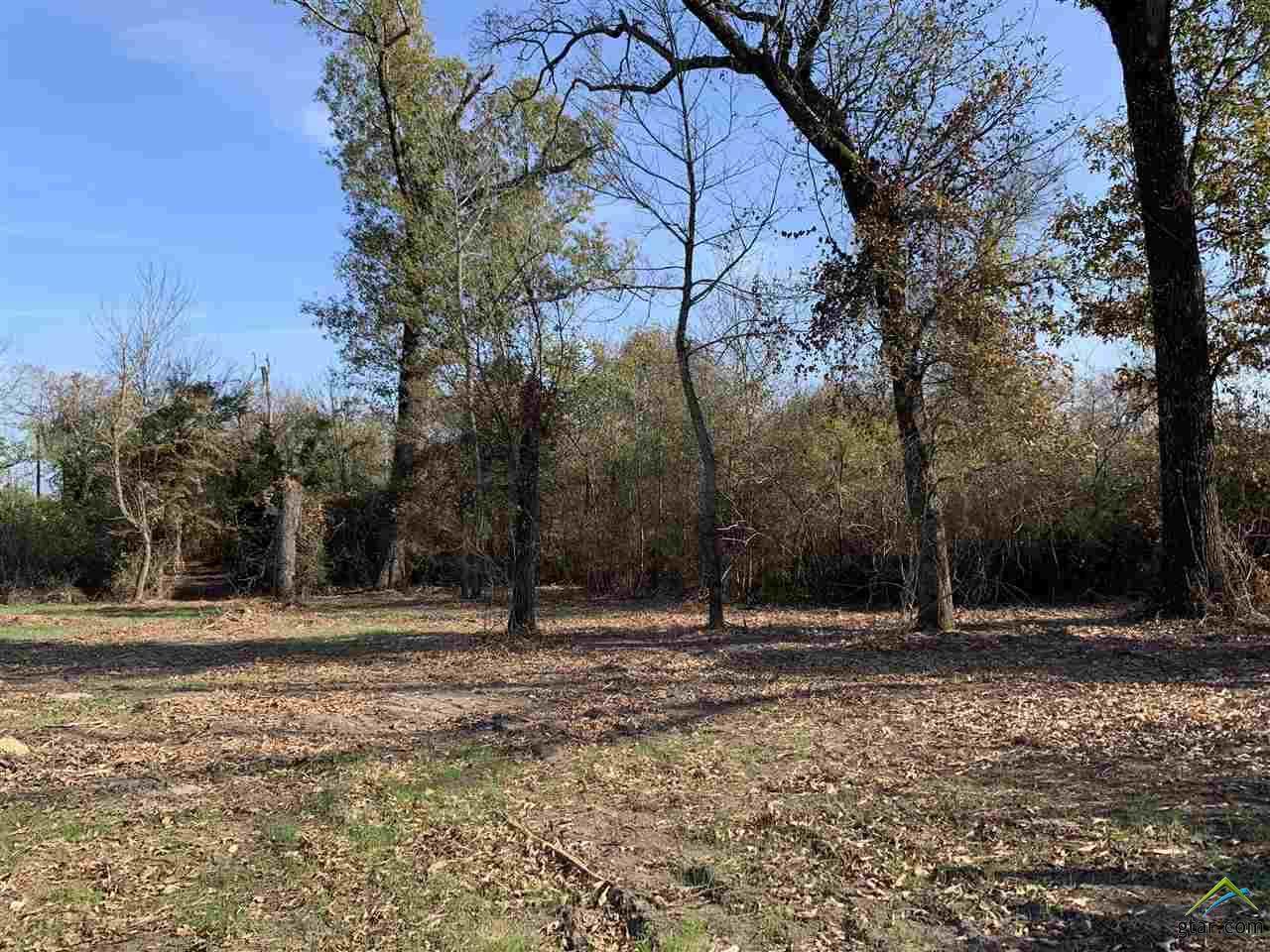 9933 Fm 2709 - Photo 1