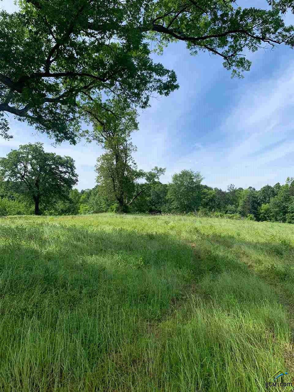 TBD 3.712 acres Holt - Photo 1
