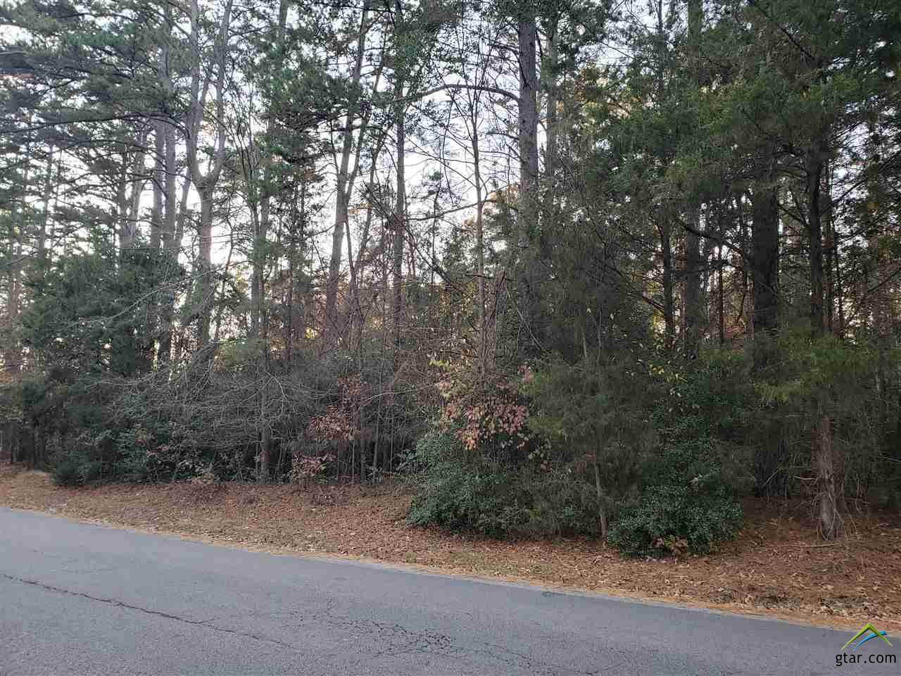 Lot 381 Holly Trail East - Photo 1