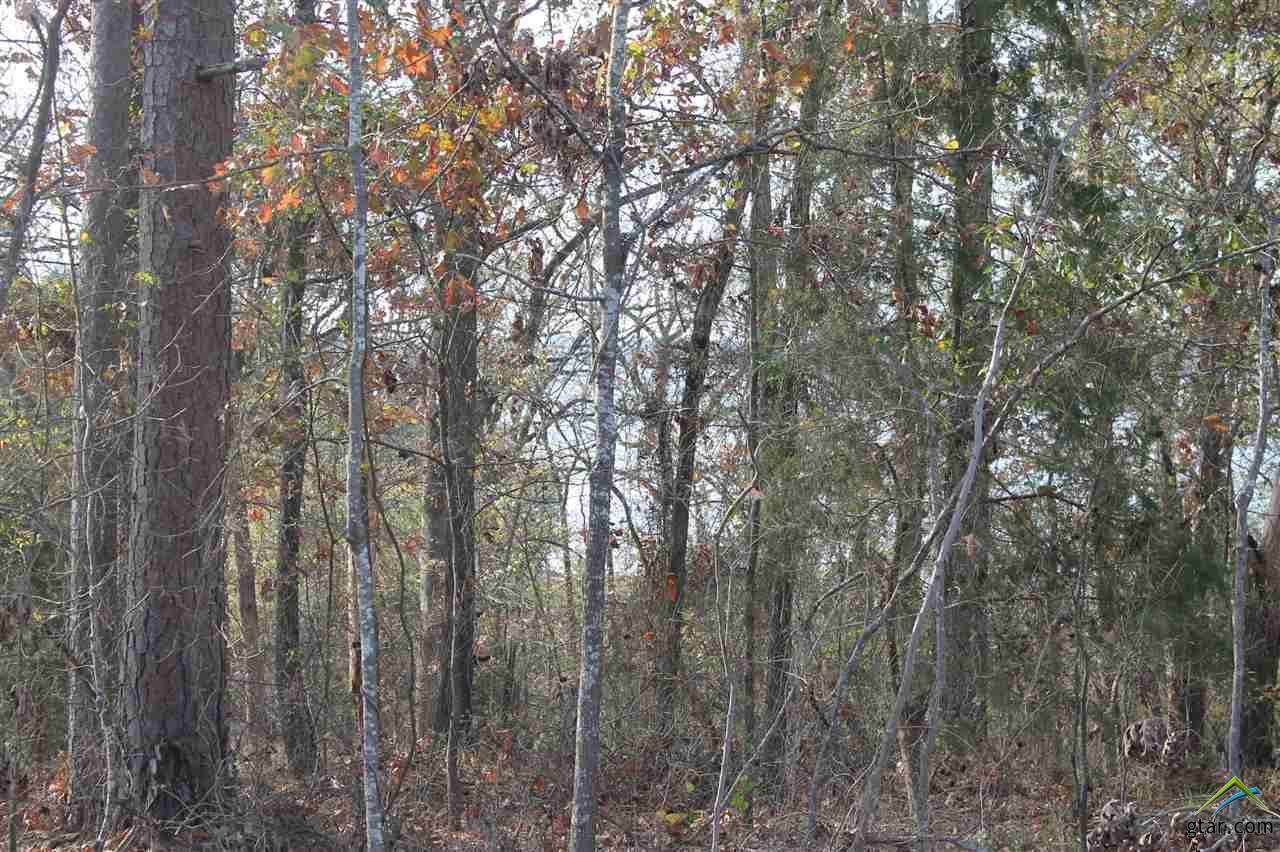07 Cr 2405 - Photo 1