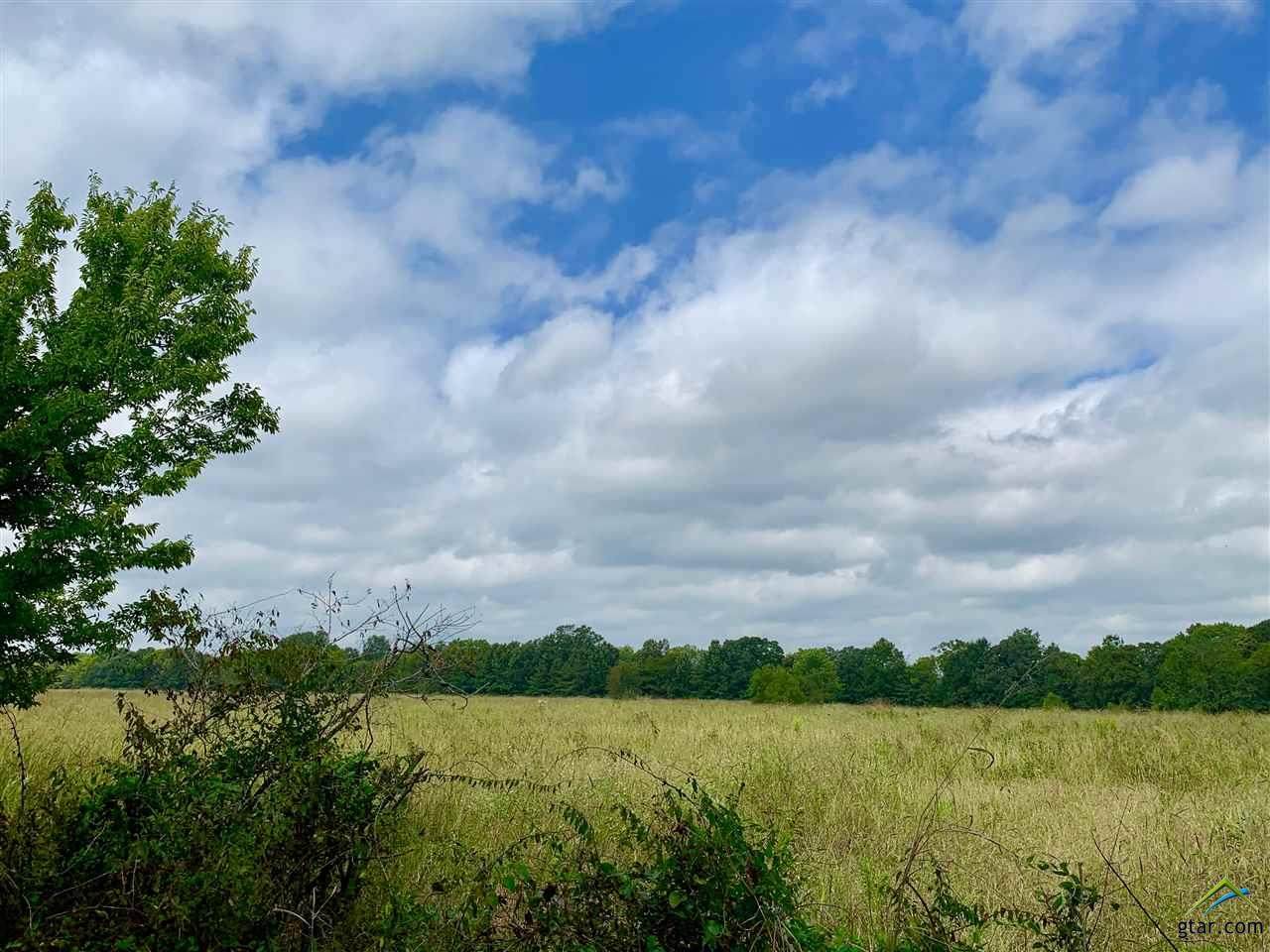 Tract 4 County Road 1350 - Photo 1