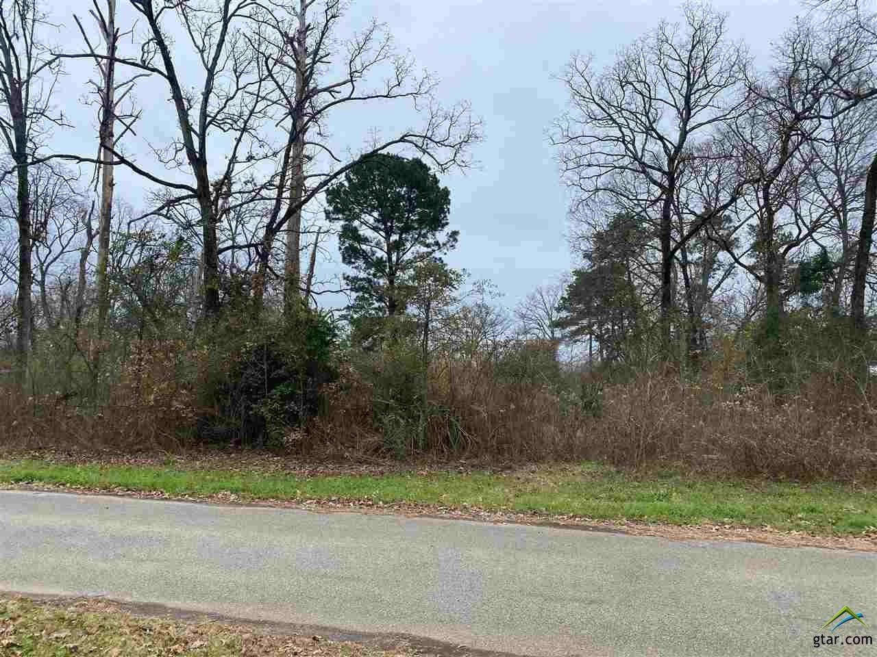 000 Shady Trail Rd Lots 109-112 - Photo 1
