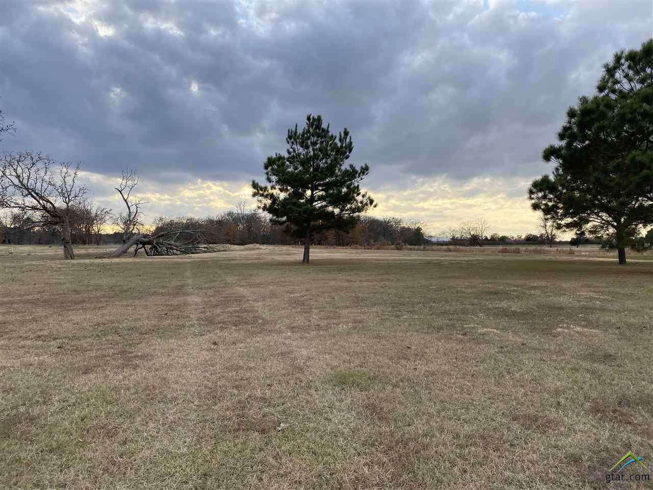 Lot 28 Private Road 2713 - Photo 1