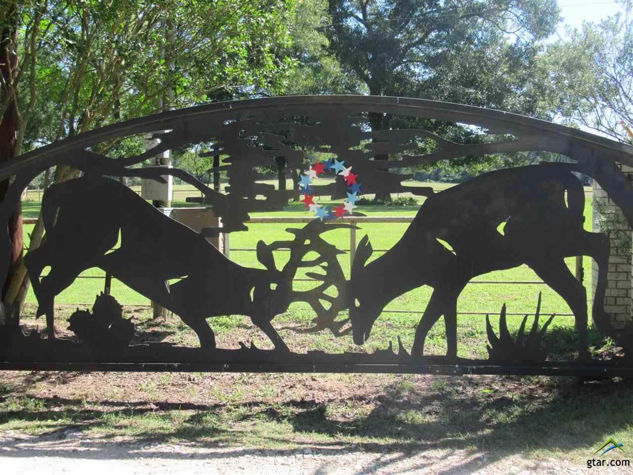 2379 Fm 1817 - Photo 1