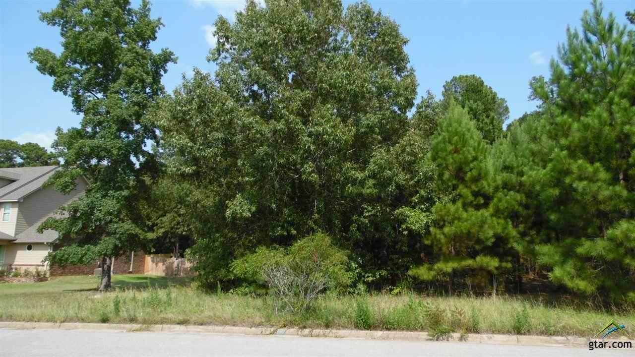 10913 Deer Creek Dr - Photo 1