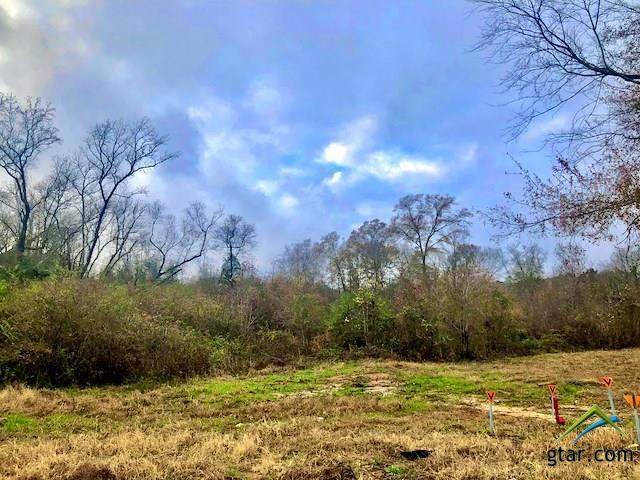 0000 Sunshine Church Rd. (Cr 21) - Photo 1