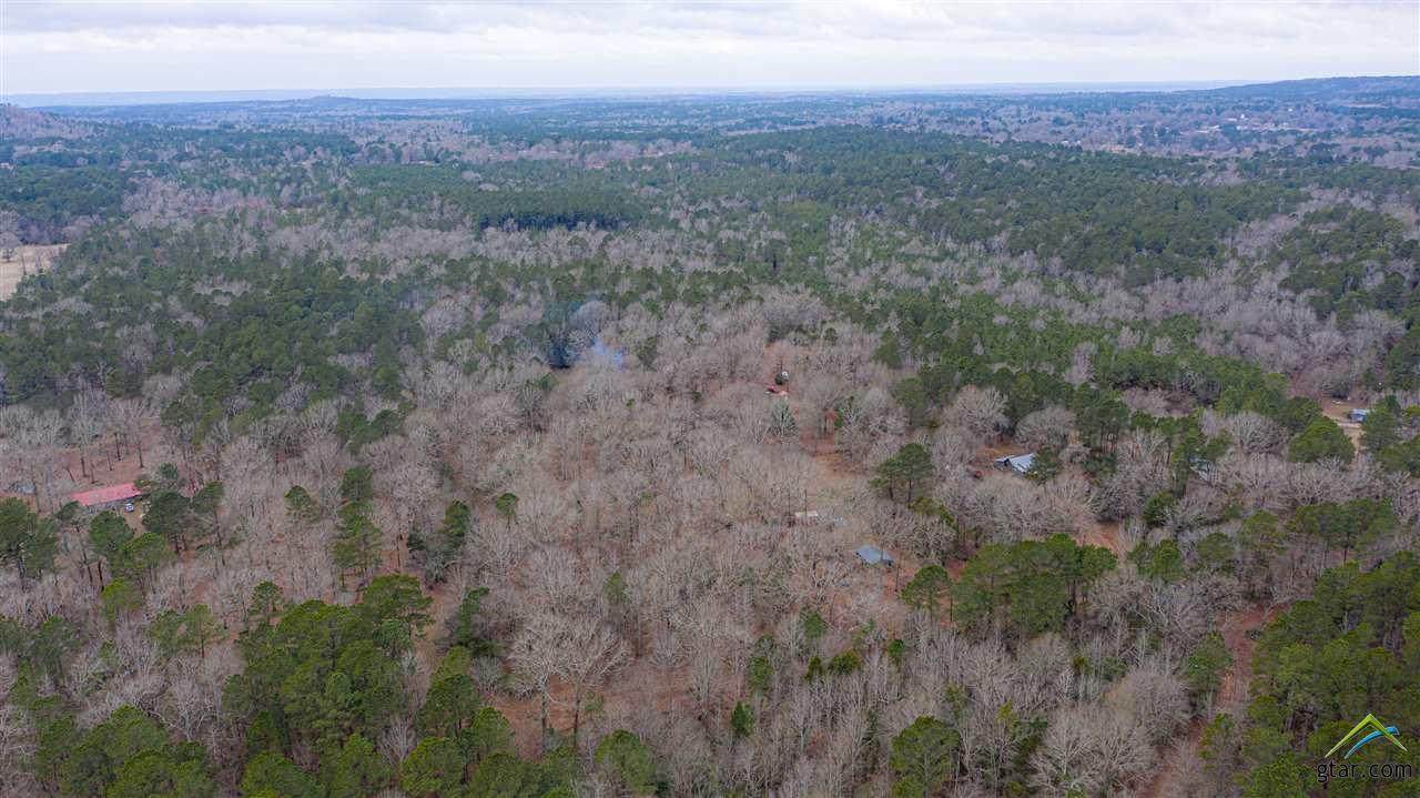 2195 County Road 864 - Photo 1