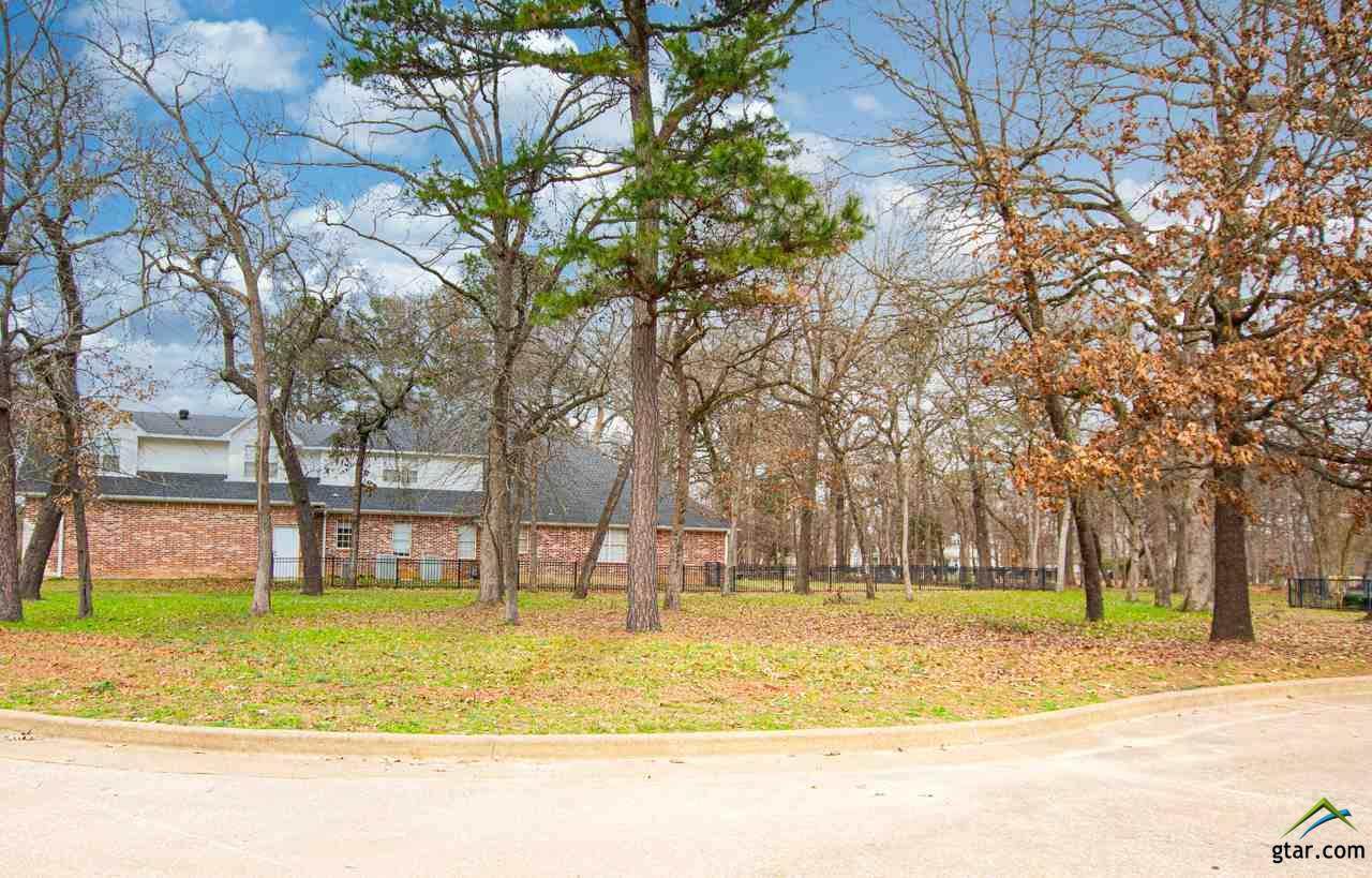 313 Sunset Circle - Photo 1