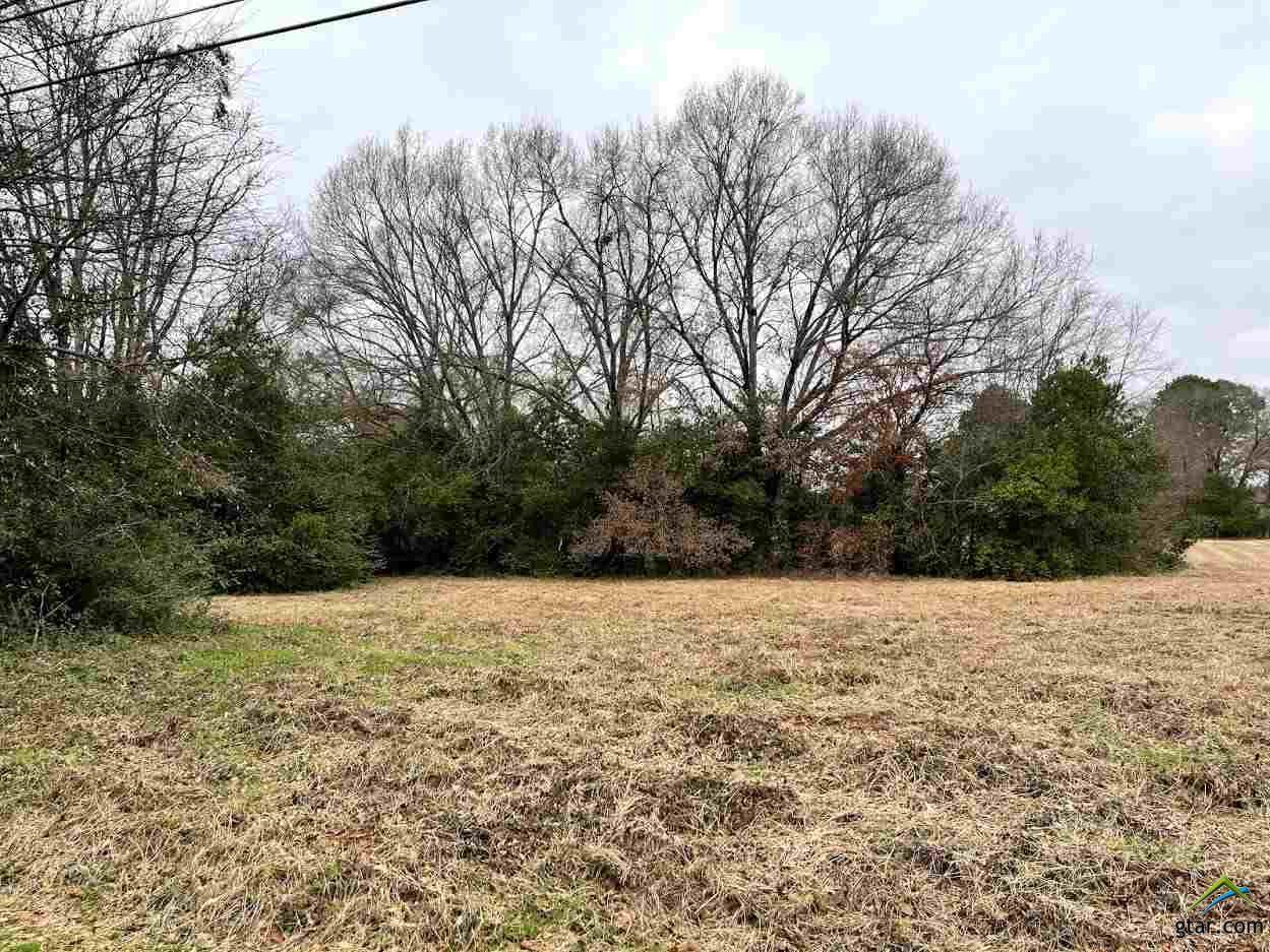 TBD Cr 3120 (Pineda) - Photo 1