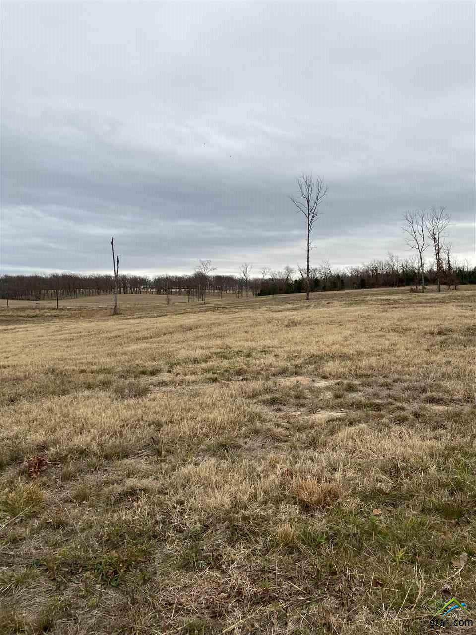 TBD Vz County Road 1106 - Photo 1