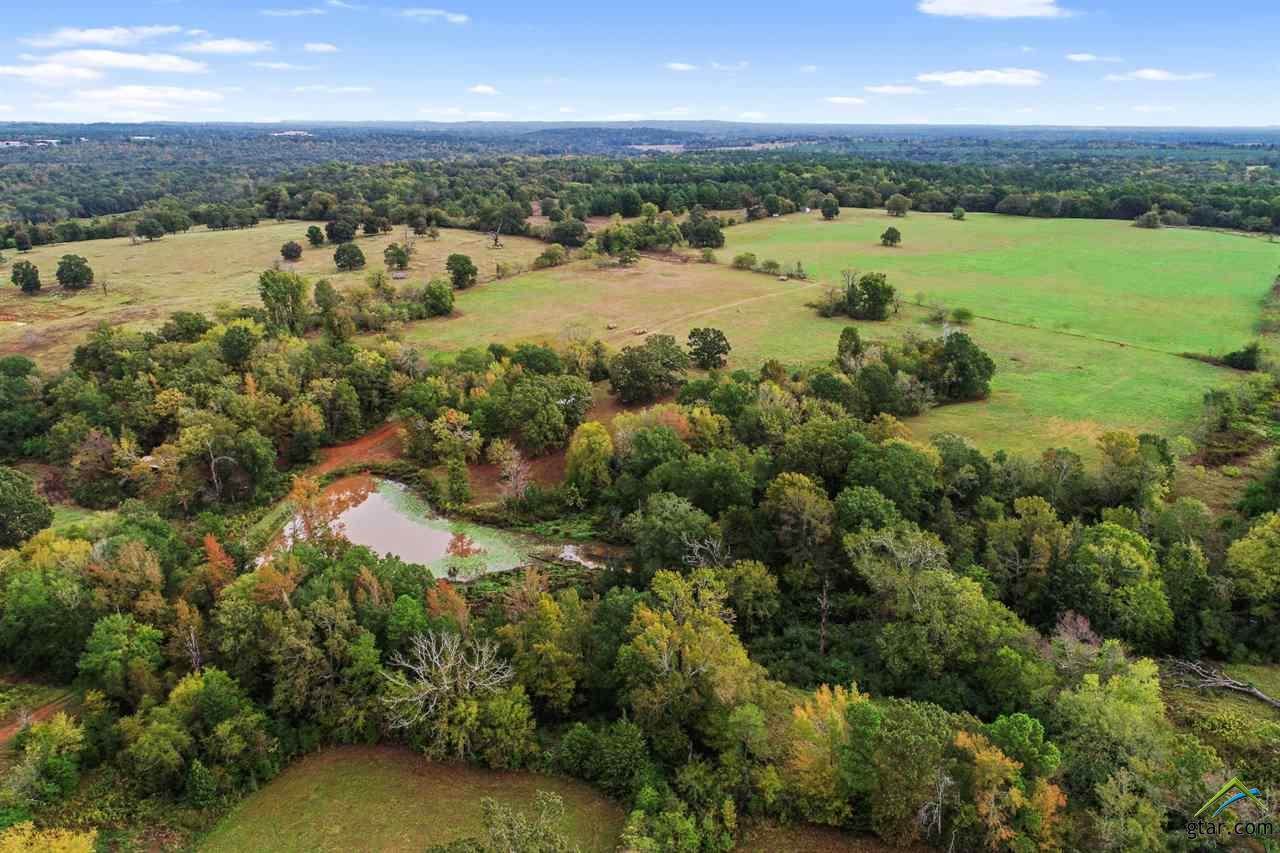 10241 Seven Hills Road - Photo 1