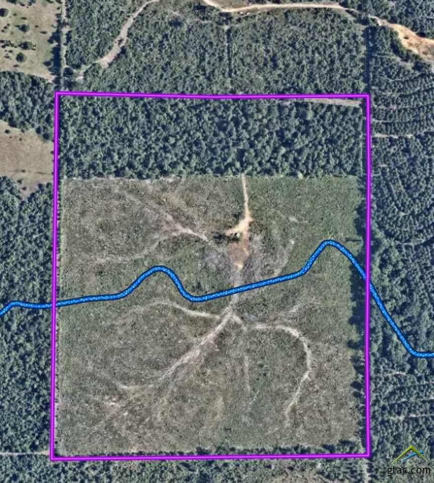 1 Mountain Man Road - Photo 1