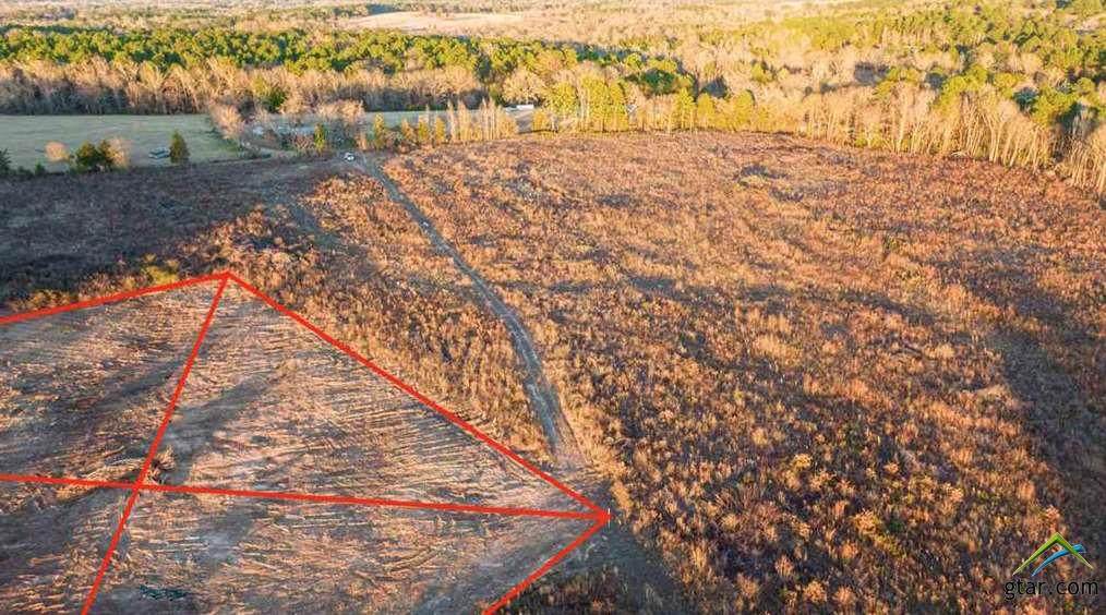 TBD 18 ACRES N Live Oak - Photo 1