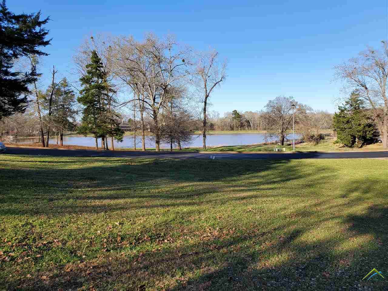110 Lake Lou Ella - Photo 1