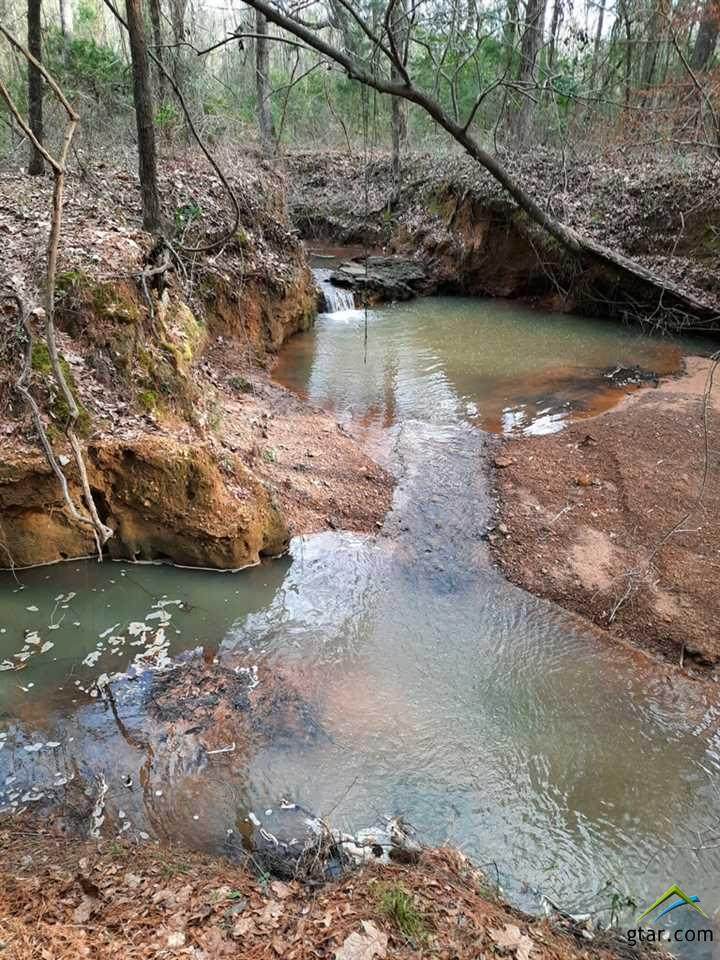 470 County Road 4502 - Photo 1