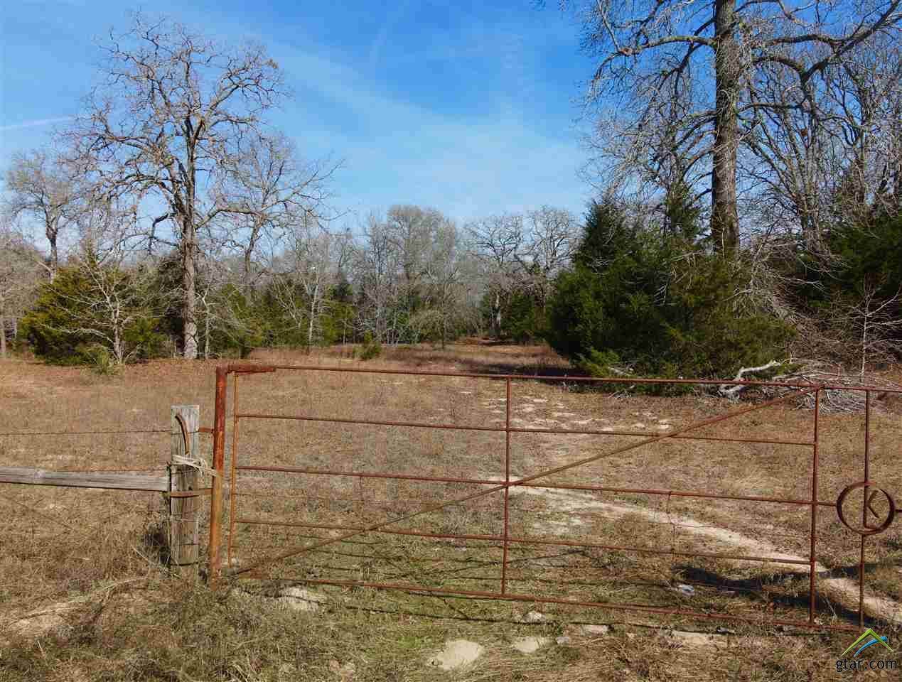 6481 County Road 4522 - Photo 1
