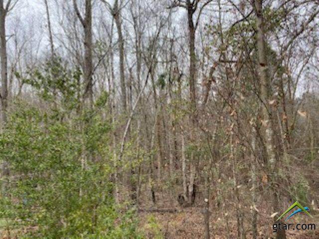 Cr 224 - Photo 1