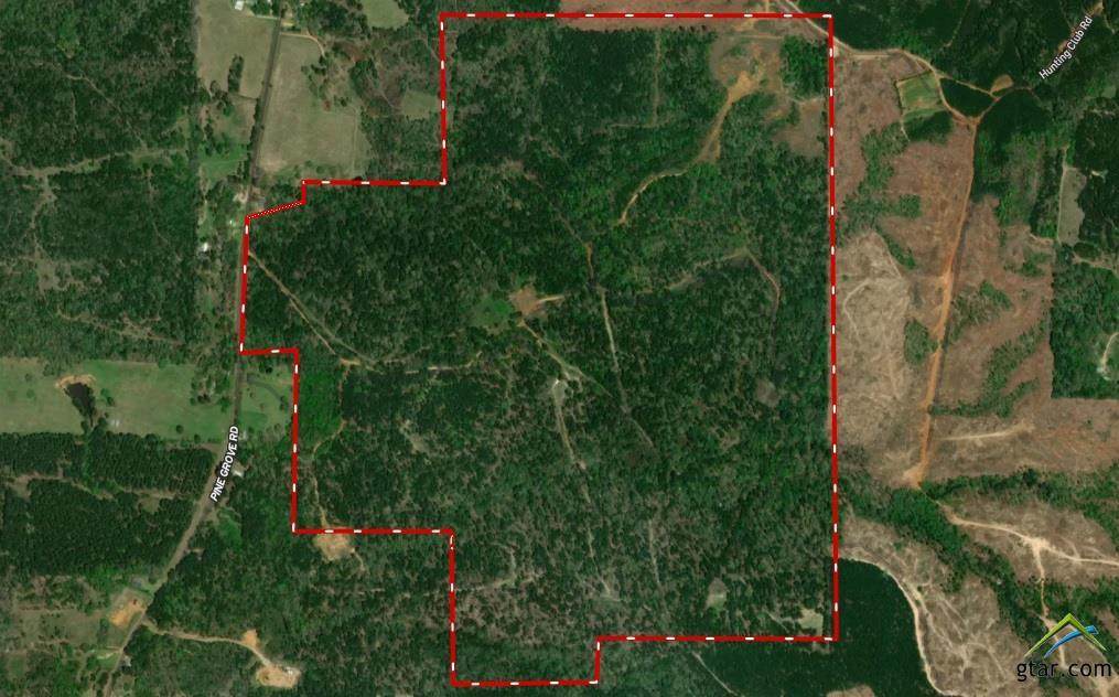TBD County Road 1804 - Photo 1