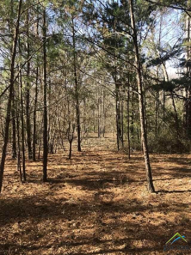 TBD Cr 1204 - Photo 1