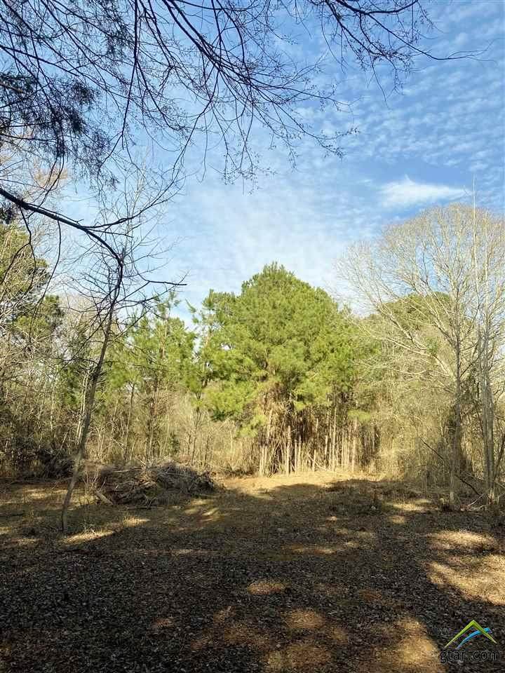 TBD Hwy 79 - Photo 1