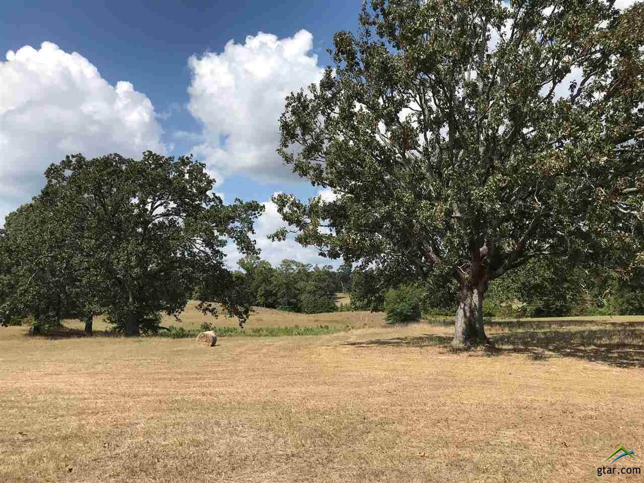TRACT 1 Fm 3358 - Photo 1